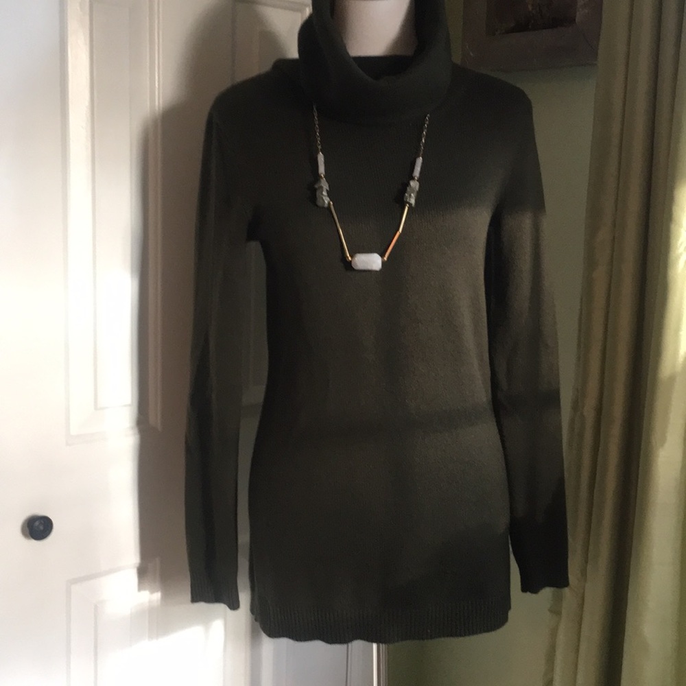 Olive colored turtleneck sweater